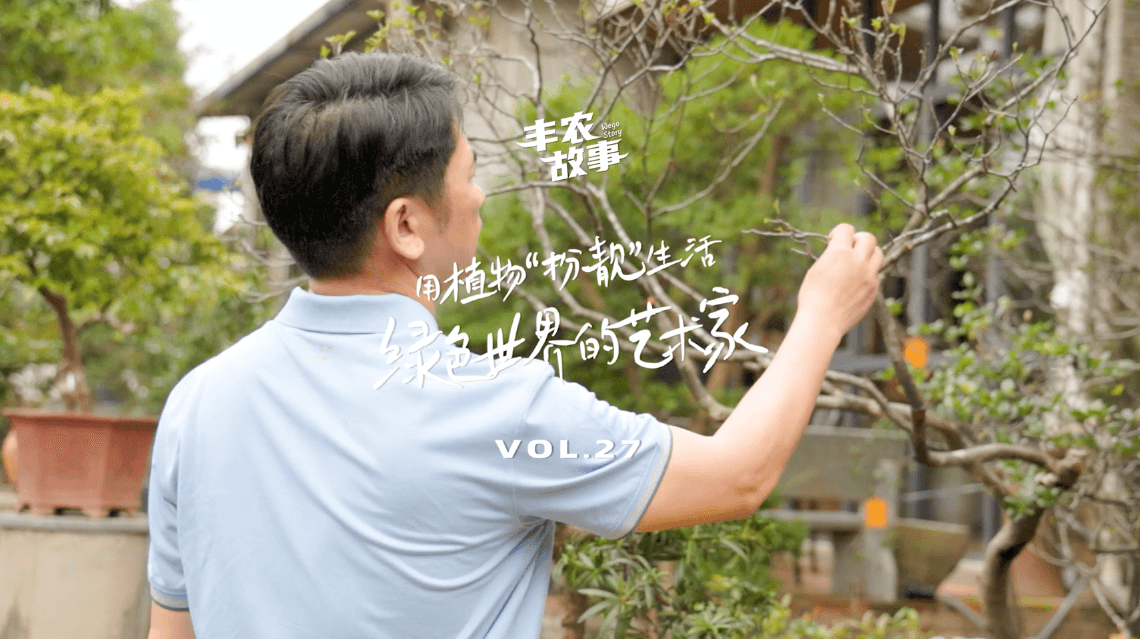 17年，他用一草一木去点亮了一个个家。