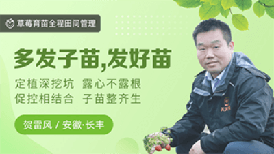 多发子苗，发好苗